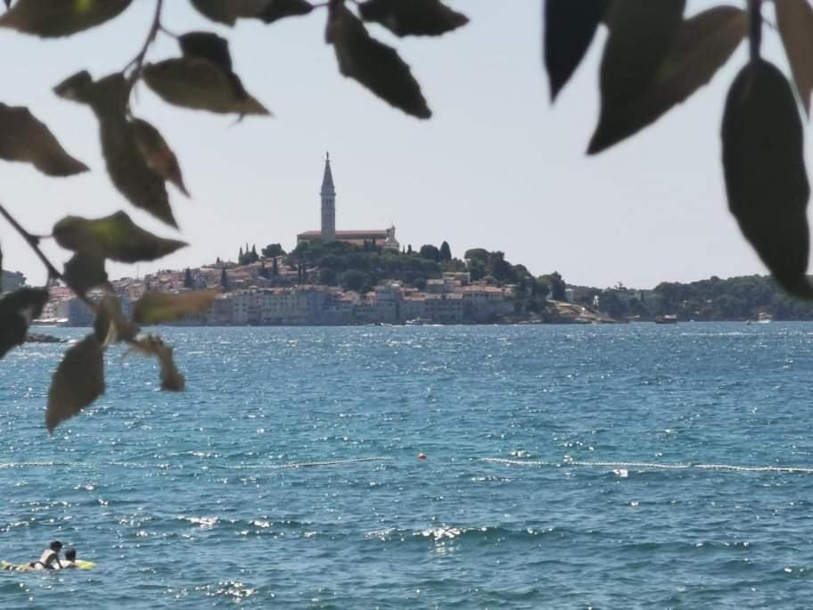 Studio Apartment Rosemary Rovinj Luaran gambar