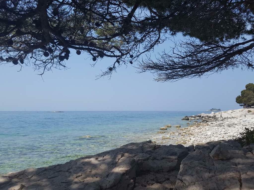 Studio Apartment Rosemary Rovinj Luaran gambar